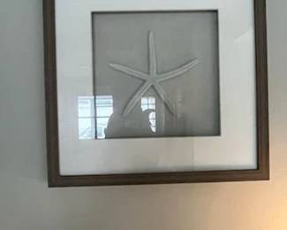 Starfish 