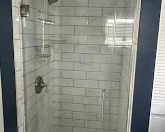Shower door