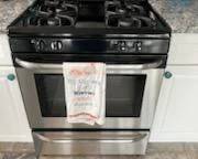 Frigidaire stainless gas range
