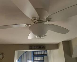Ceiling fan with light