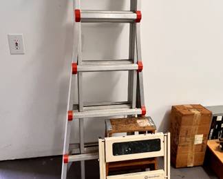 Ladder and step stool 