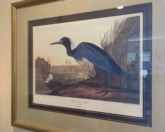 Ardea Coerulea Engraved Blue Heron, 1836 R Havell