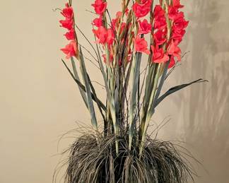 Colorful Silk Gladiolus 46" High