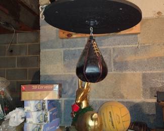Boxing Speed Bag w/Mount