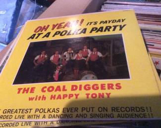 Vintage Vinyl Records LPs - Polka