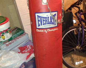 Everlast Punching Bag