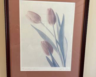 A63 - $10. Signed Print. 