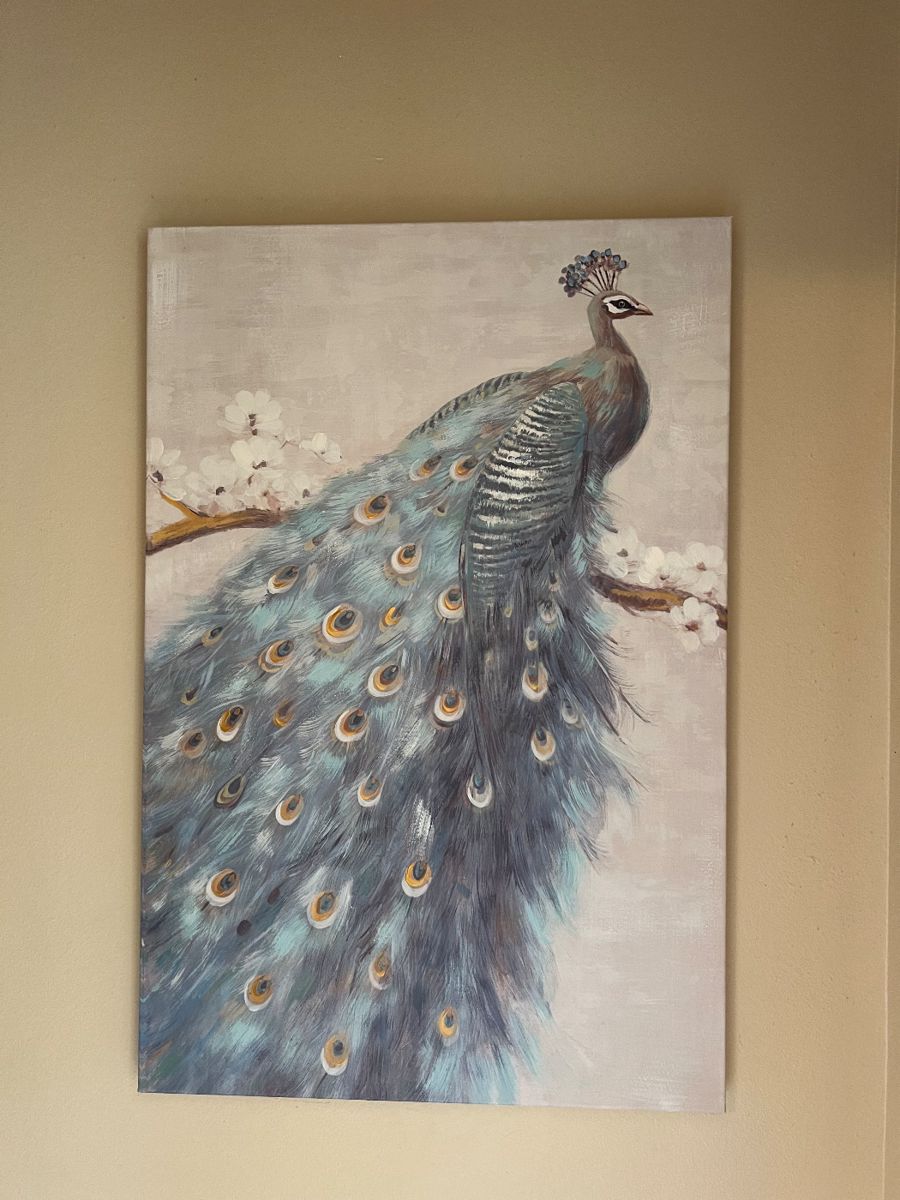Lots of Peacock decor!