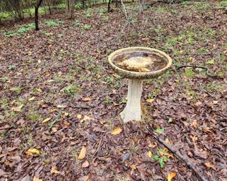 Birdbath 