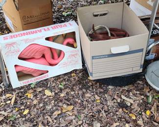 Pinks flamingoes 