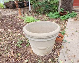 Large cement planter