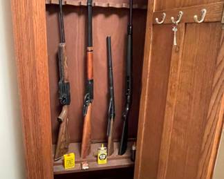 BB Gun Collection