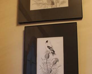 Owl and Bird Art