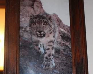 Beautiful Wood Frame and Animal Print