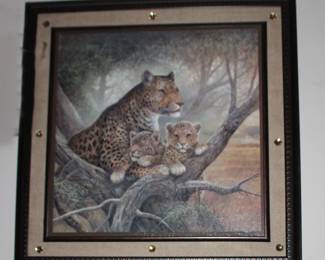 Animal  Leopard Framed Print