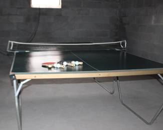 Ping Pong Table
