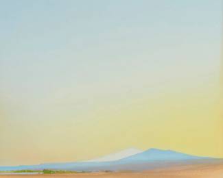 109
Ferdinand Burgdorff
1881-1975
"Southwest Desert Scene," 1908
Watercolor on paper
Signed and dated lower left: Ferdinand Burgdorff; titled on a gallery label affixed to the frame's backing board
Sight: 11.75" H x 11.75" W
Estimate: $600 - $800