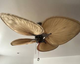 Ceiling fan