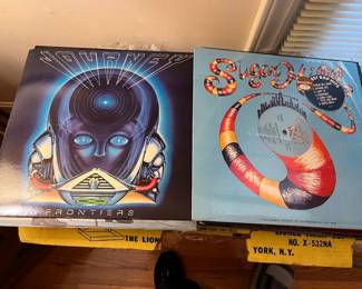 Some great LPs  $5 - $10 some older ones $2-$3 