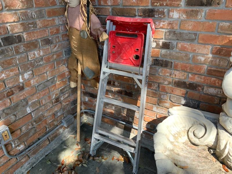 Giant Garden Road sale in New Orleans, LA starts on 11/3/2023