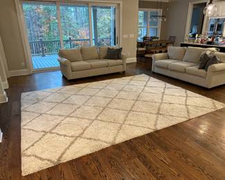 H22 - $150 - Safavieh Hudson Shag area rug 9' x 12'