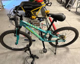 H125 - $75 - Nishiki 24" girls Bike