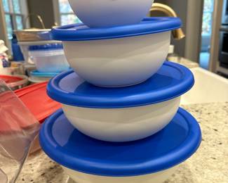H46 - $5 set of plastic bowls with lids