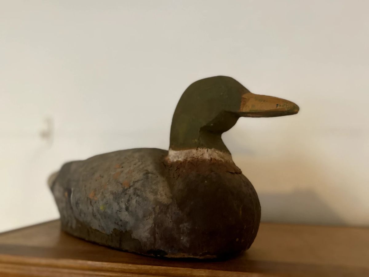 Estate Sale in Albany! Tools and More! (QBO) starts on 11/3/2023