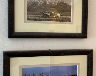 Art Shane Knight Photography "Tri X Run" 2004. Art Shane Knight Photography "Snowed In" 2010