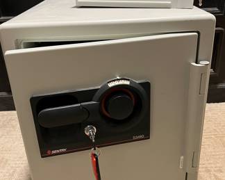 Sentry Safe
