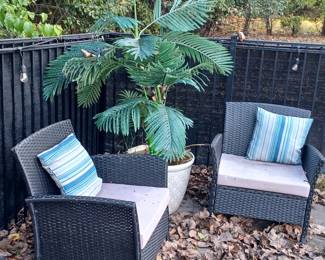 Outdoor Chairs with Palm Tree (2 sets available)