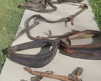 Antique Horse Tack