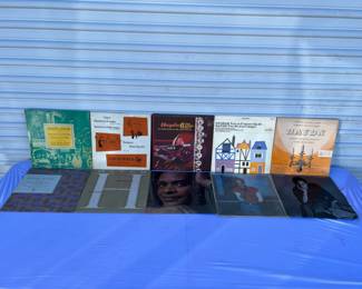 (10) Vinyl Record Albums Joseph Haydn & Dvorak

