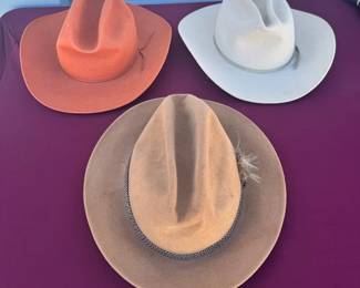 (3) Cowboy Hats Including Stetson
