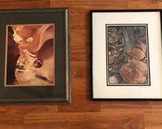 Fred Joy M. Whaler Nature Photography Signed  Nbrd