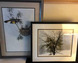 Bob Winlay Werling Winter  Bird Art
