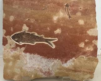 Fossil