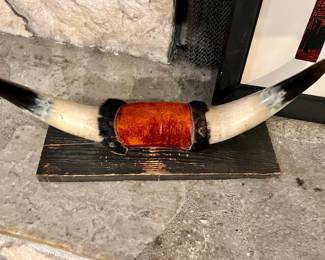 Mounted Bull Horns
