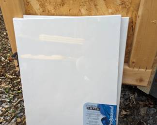 Art Supplies: Brand new canvases (2), Colored Pencils, paper, oil pastels(lots), paint brushes, acrylic paints, etc.