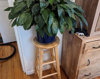 Plant & Stool. Note various small planters & pots available.