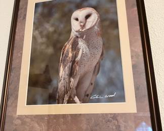 Framed and Matted Photography of Barn Owl by E. Wood