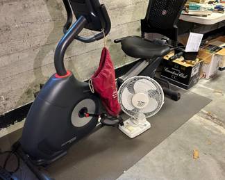 Schwinn 270 Exercise Bike