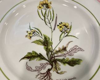 Primula "Diplotaxis Muralis" Salad Plate