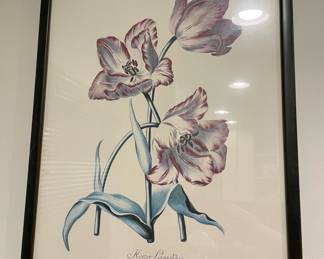 Framed "Kuze Leopoldus" Floral Print
