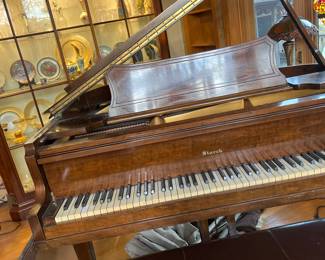 Starck baby grand piano WOW