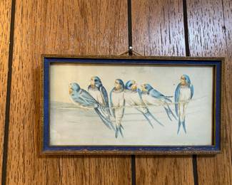 Framed 6 Swallows Birds on Branch Print
