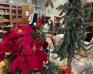 Potted Silk Poinsettia, Evergreen Forest Trees