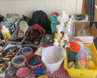Dog collars, leashes, bowls, toys, vitamins, cleaners, chews/treats, more!