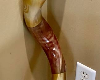 Polished Rams Horn