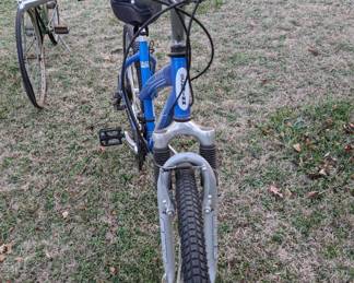 Schwinn Skyliner Bicycle